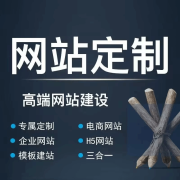 外贸网站建设公司做英文定制外贸独立站wordpress开发多语言商城